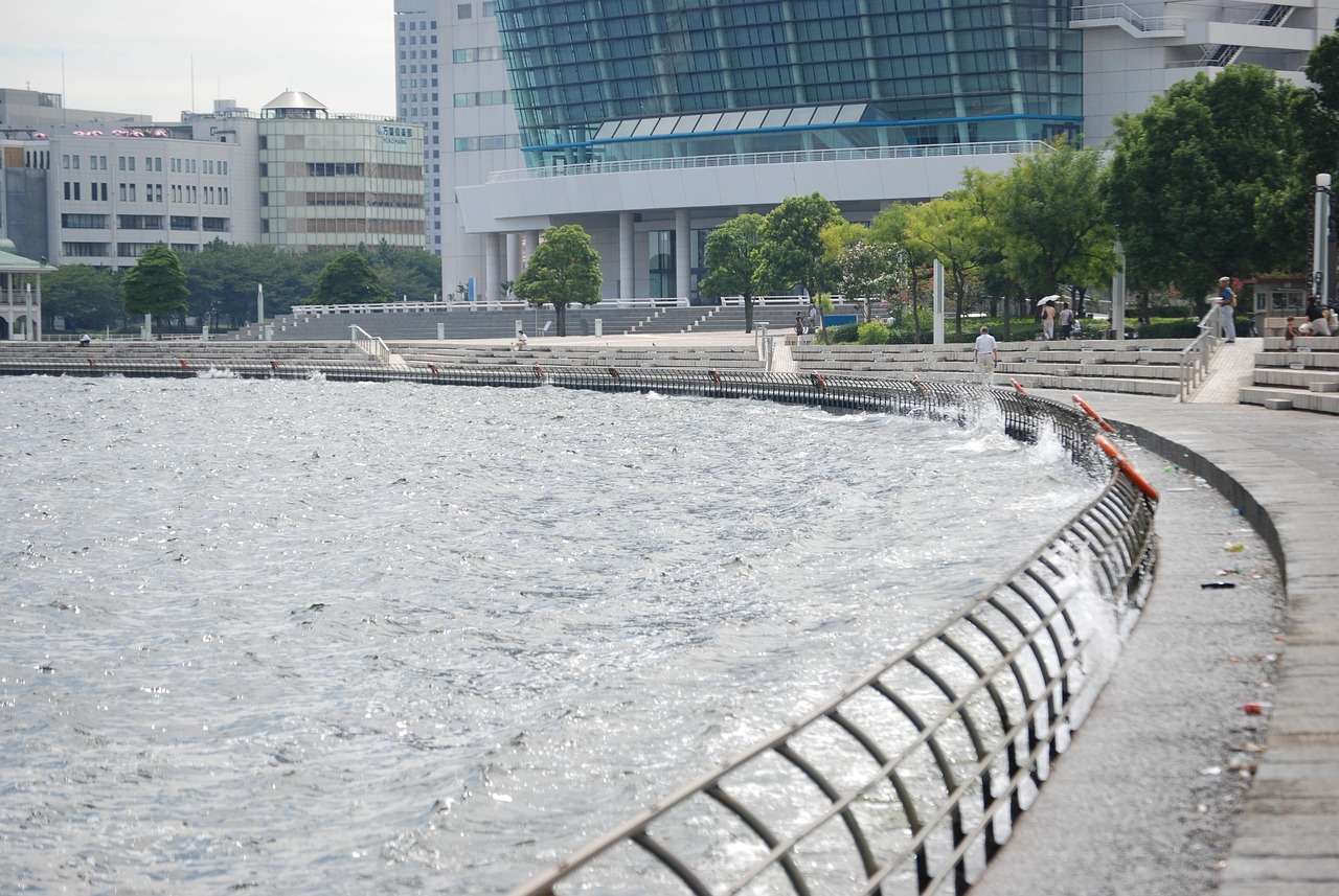 鄭州海昌海洋公園最新動(dòng)態(tài)揭秘，揭開神秘面紗，展現(xiàn)海洋魅力奇觀
