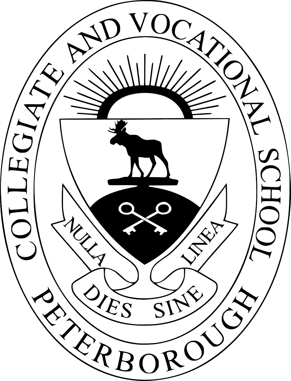 共青城大學(xué)城蓬勃發(fā)展，教育新篇章的最新消息