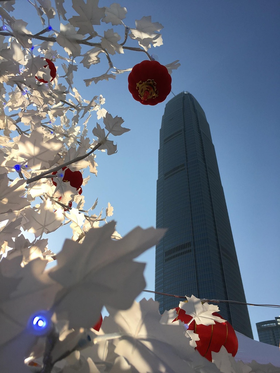 漫漫長夜新版本砍樹探索，全新體驗之旅