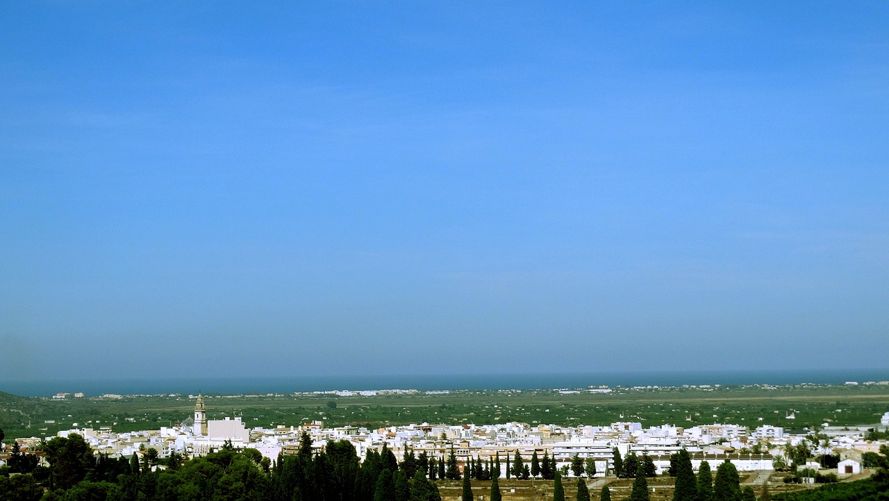 食用油漲價最新動態(tài)，原因分析與市場觀察